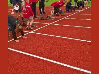 Piirinmestaruuskisat Vihti 2017